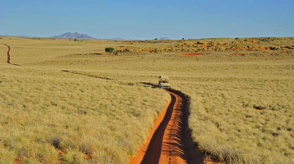 Un chemin dans la réserve