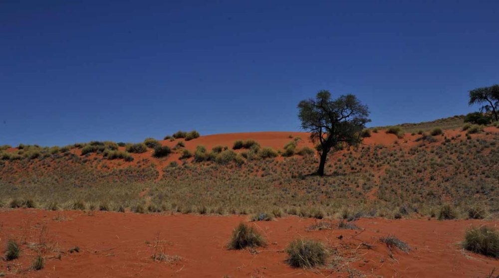 Un paysage de désert
