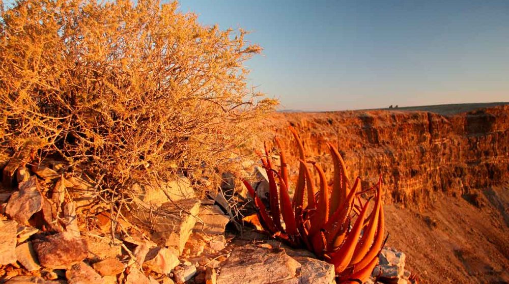 Le Fish River Canyon