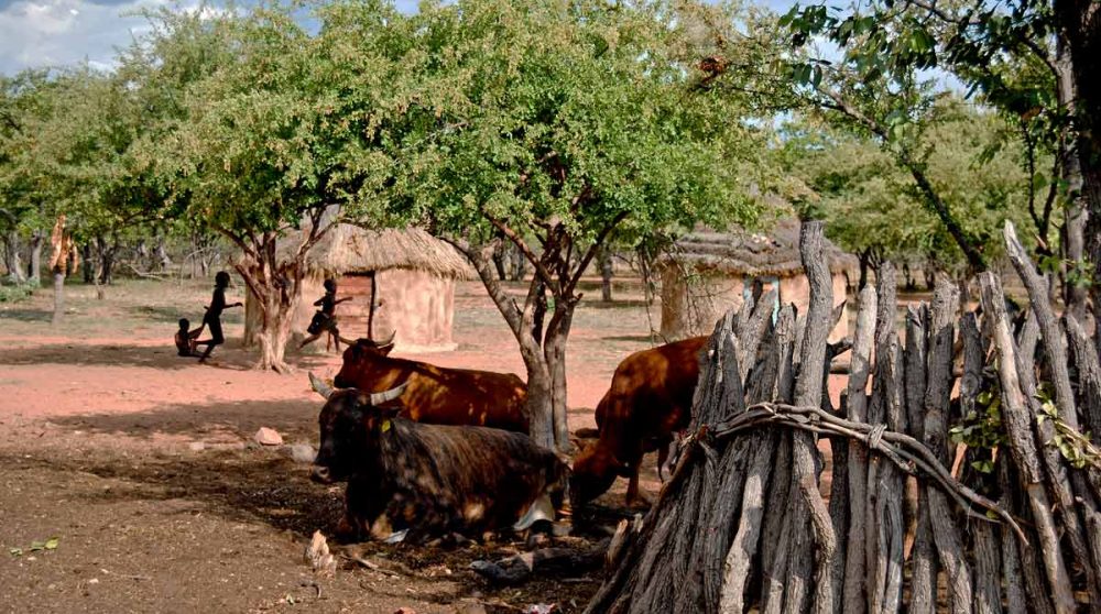 L'ethnie Himba dans le Kaokoland