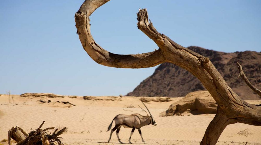 Le Kaokoland, une région hors des seniters battus