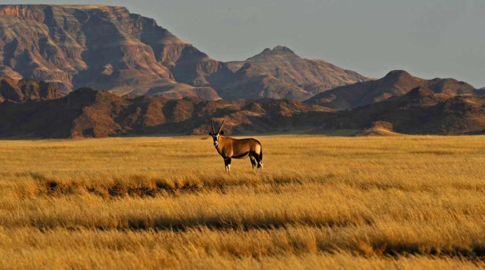 Vue sur le Désert du Namib