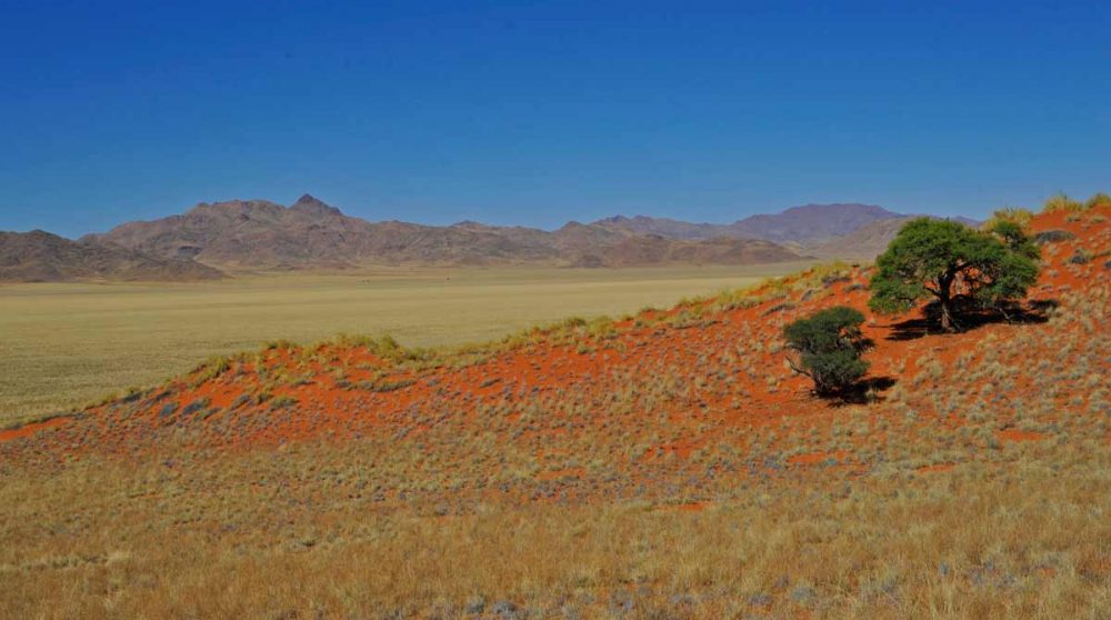 Paysage du Namib Rand
