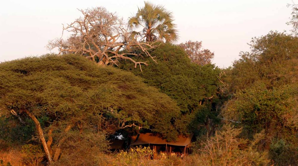 Lodge au Chada Katavi