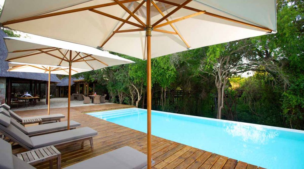 La piscine du Kapama Buffalo Camp