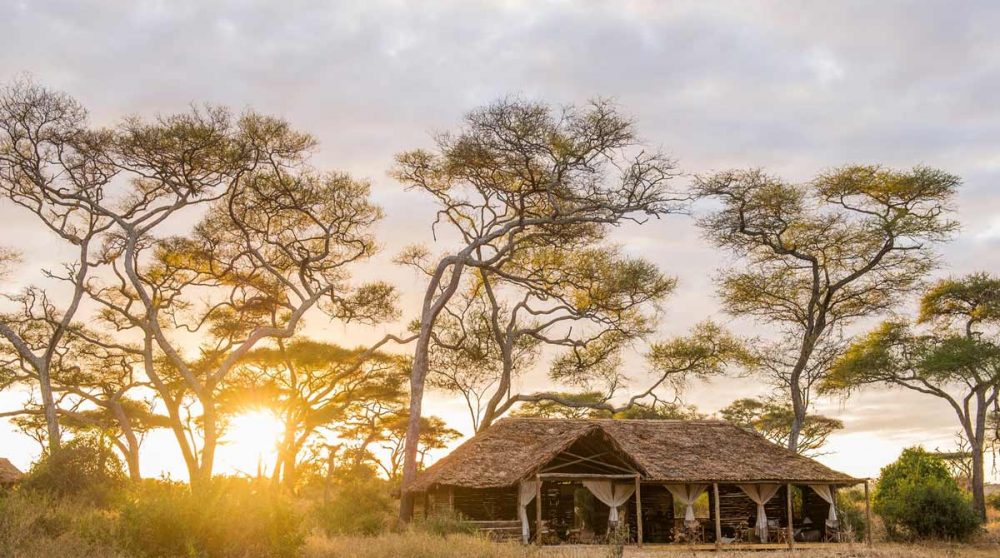 Le jour se lève sur le Kuro Tarangire