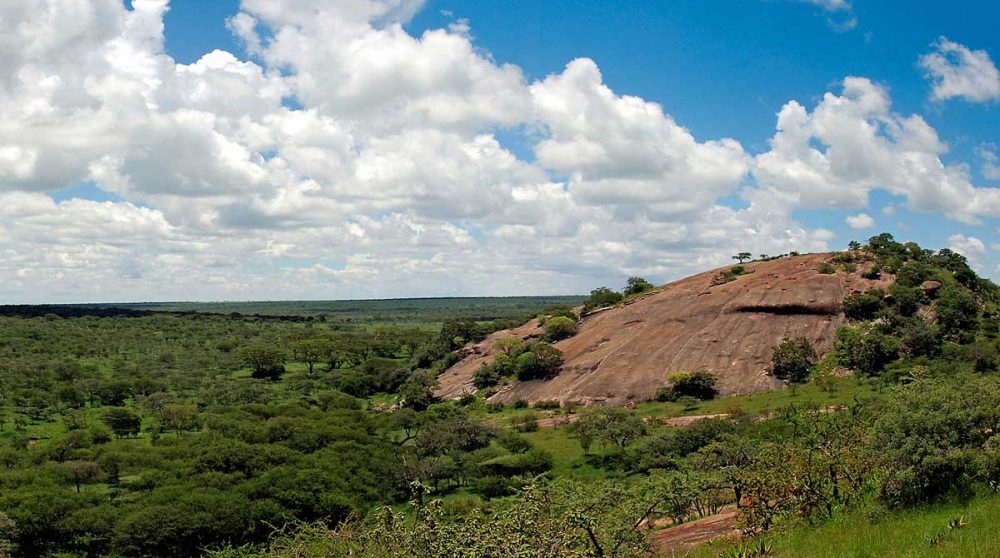 Bienvenue au Kusini Camp