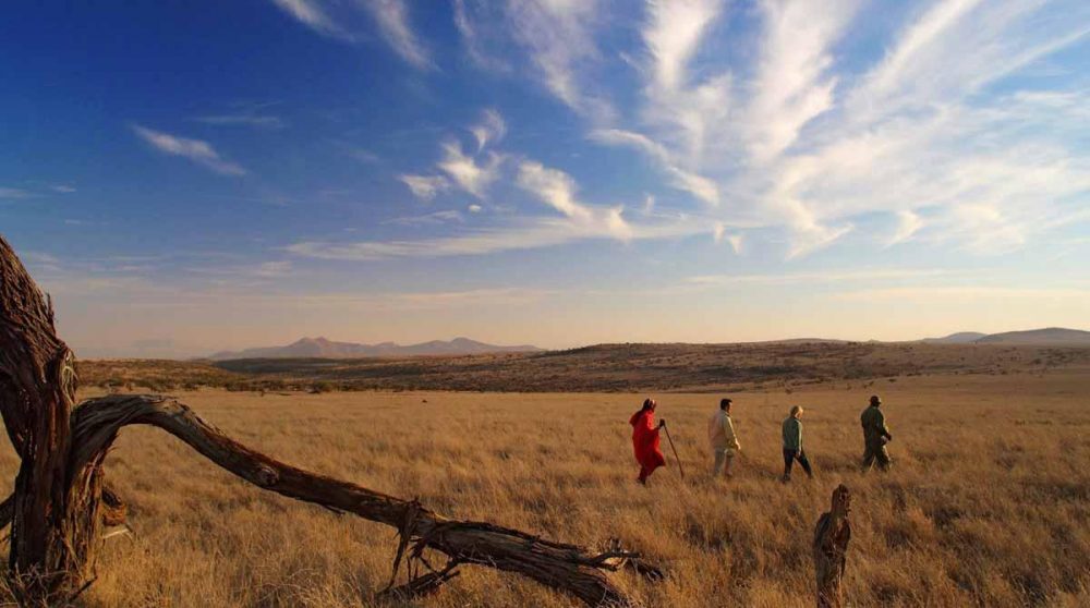 Une marche sous le ciel infini à Lewa Safari Camp
