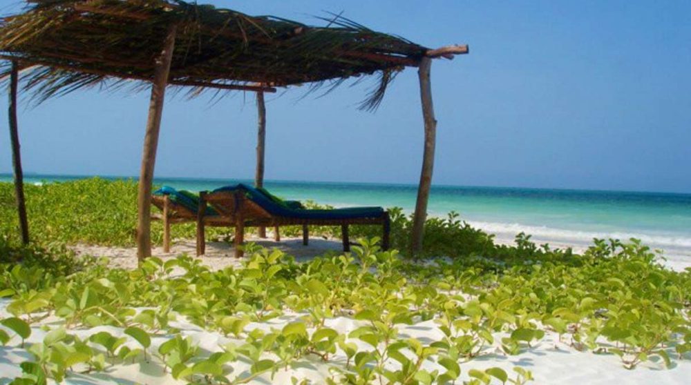 Bienvenue au Mchanga Beach Lodge