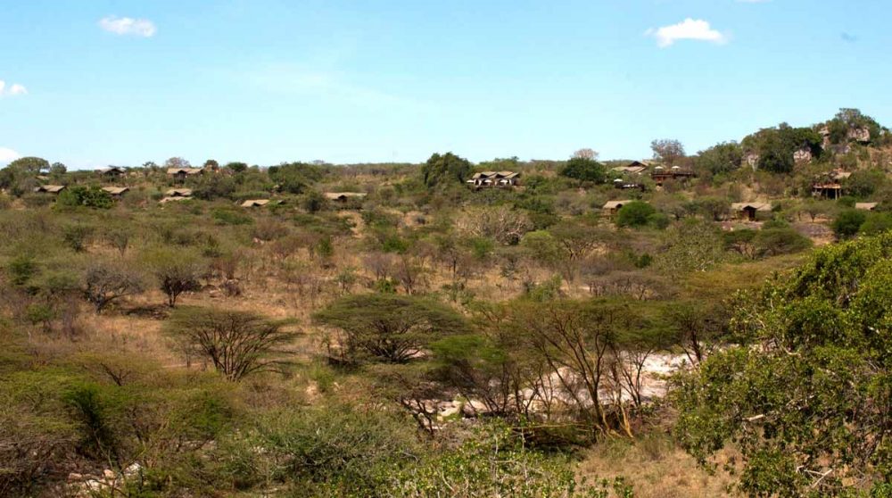 Bienvenue au Migration Camp