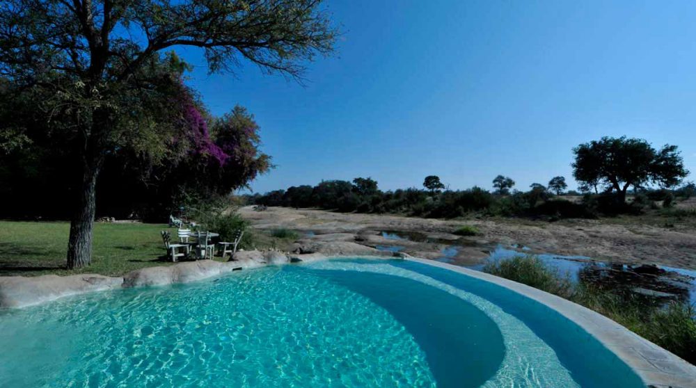 La piscine de l'hôtel Motswari