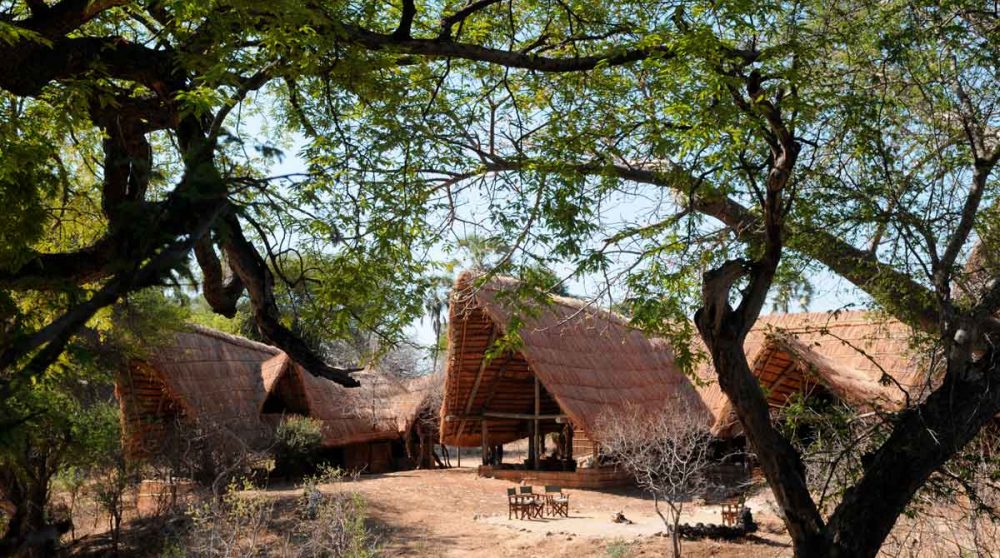 Le Mwagusi Safari Camp