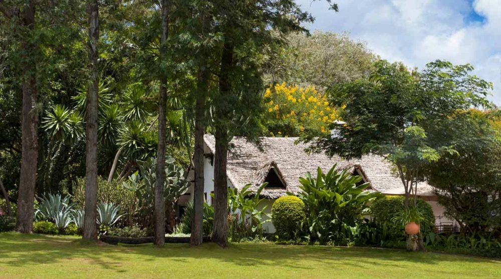 Bienvenue au Plantation Lodge