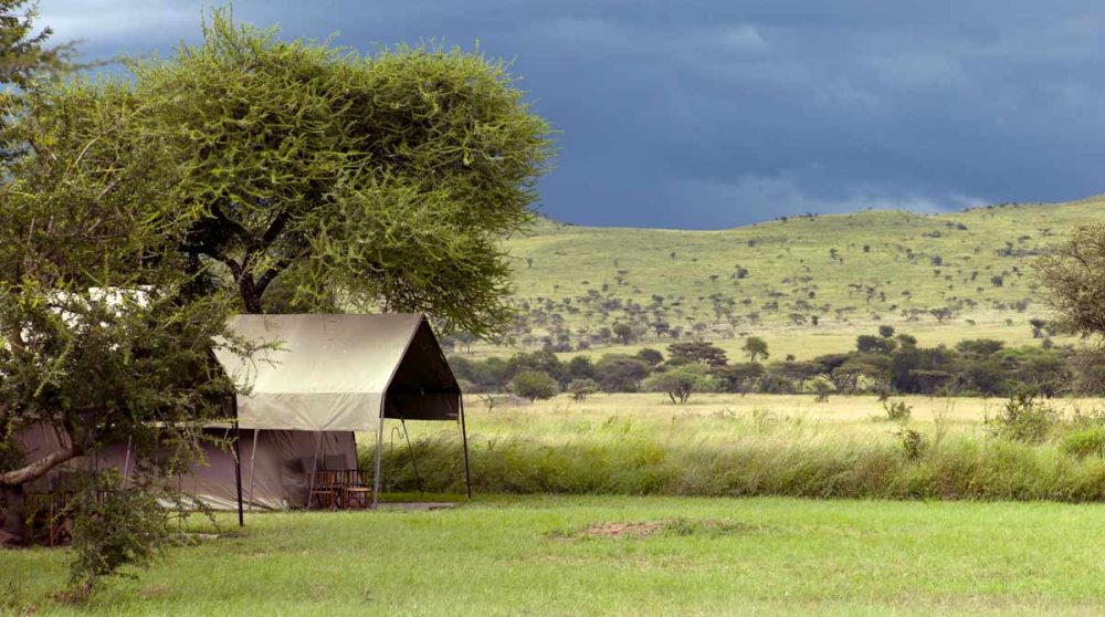 Bienvenue au Ronjo Camp