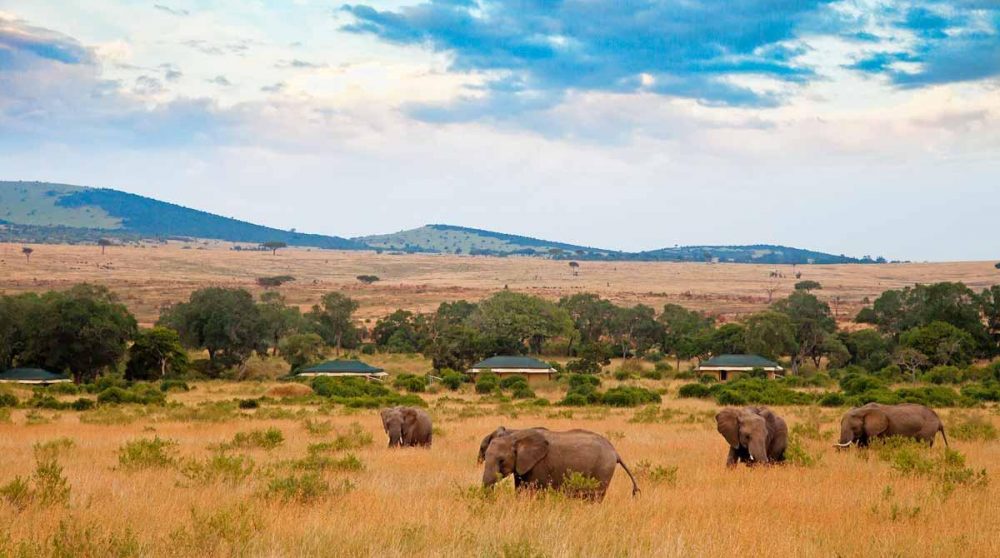 Le Sand River Masai Mara