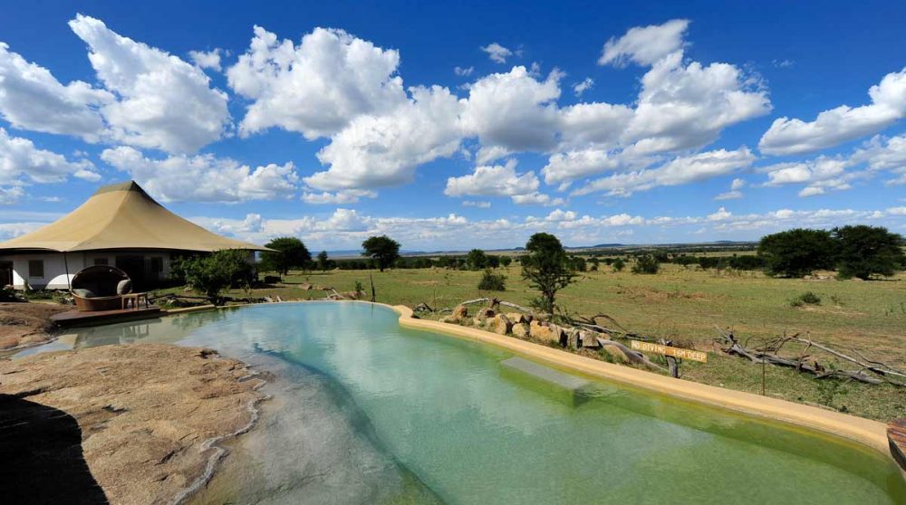 Bienvenue au Sayari Camp