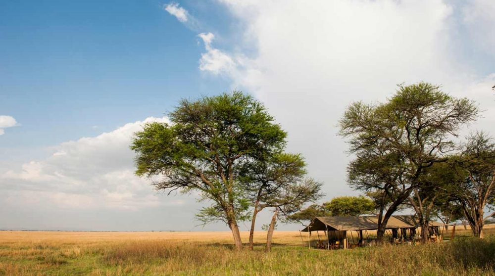 Arrivée au Serengeti Safari Camp
