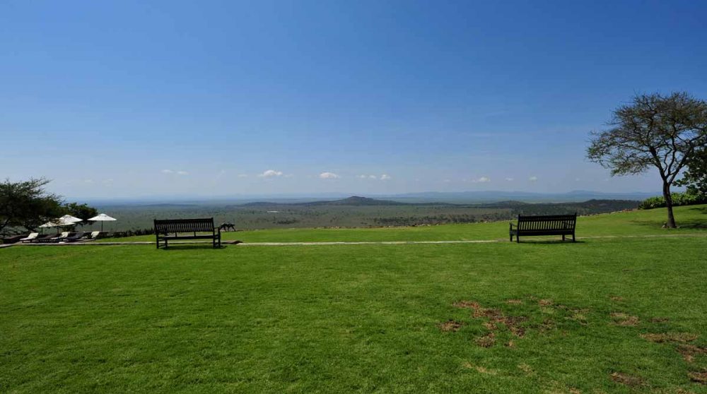Bienvenue au Singita Sasakwa Lodge