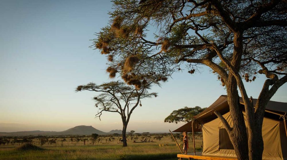 Le Siringit Serengeti Camp en Tanzanie