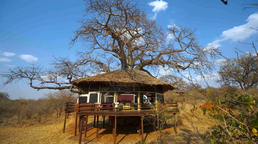 Bienvenue au Tarangire Treetops en Tanzanie