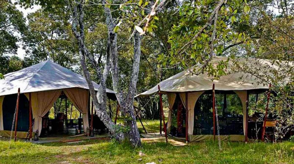 Le jardin et les tentes au Kenya