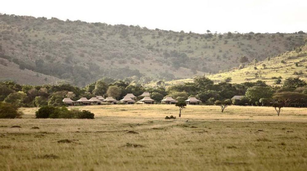 La nature environnante dans le Masai Mara