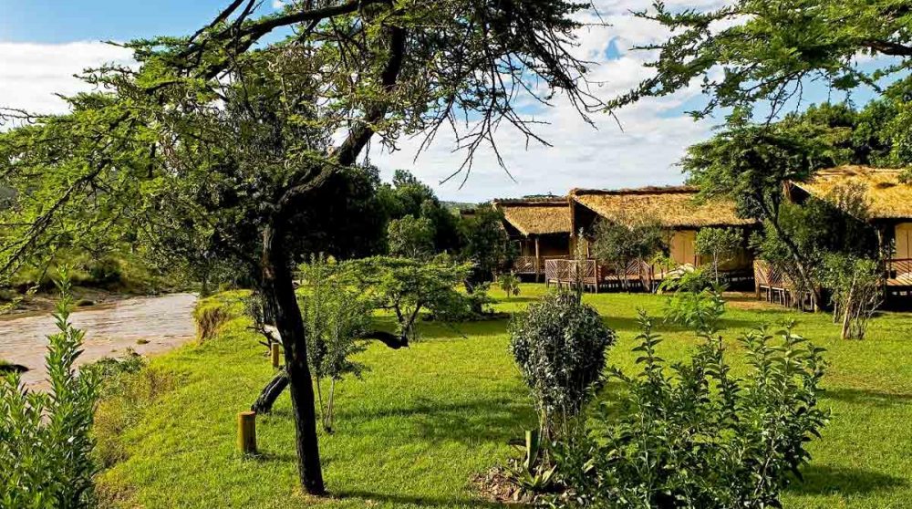 Le jardin au Kenya