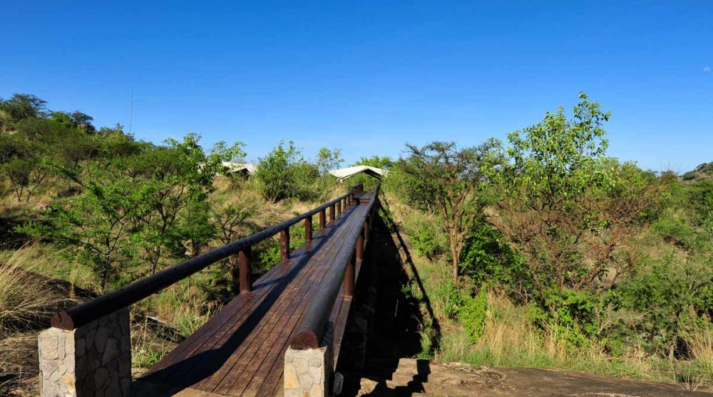 Une allée pour accéder au camp dans le Serengeti