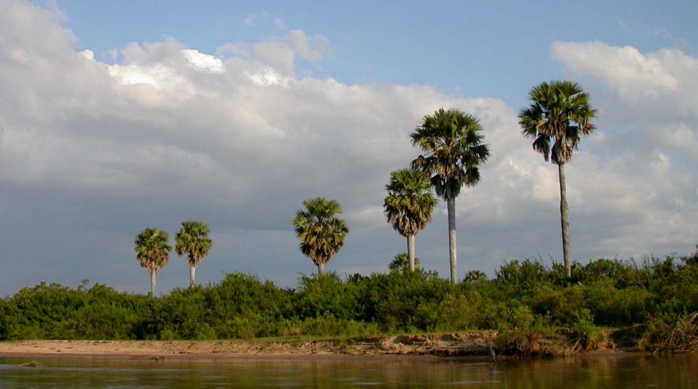 Rivière près du camp en Tanzanie