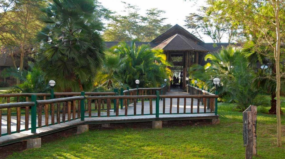 Une allée dans le jardin au Kenya