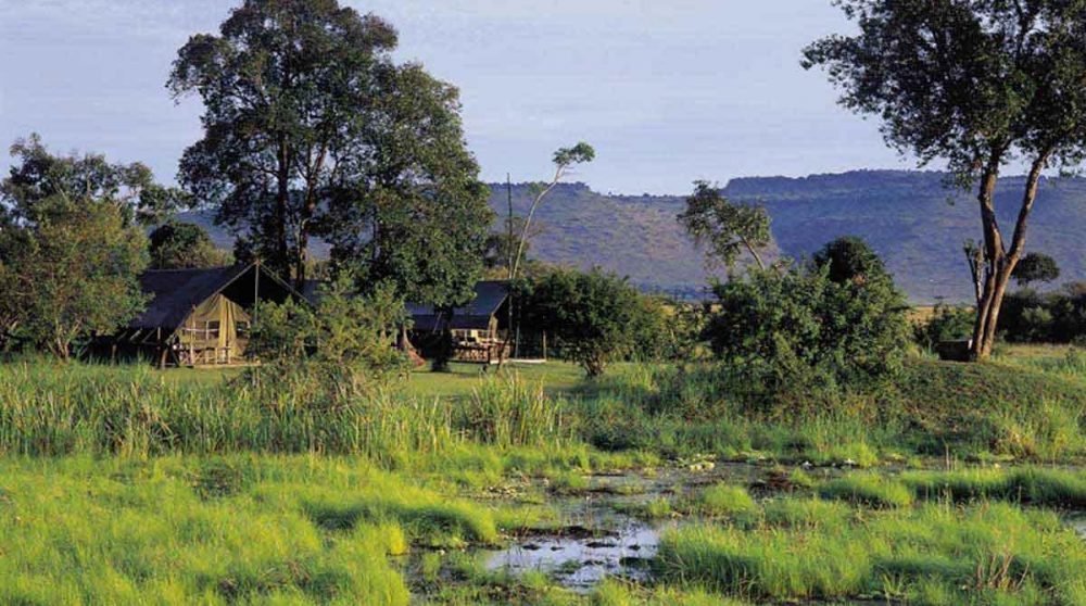 La nature luxuriante