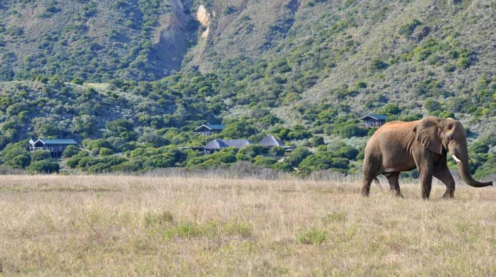 Autre vue du camp depuis la plaine en Afrique du Sud