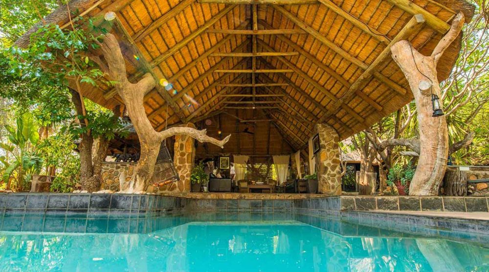 La piscine et le salon en Afrique du Sud