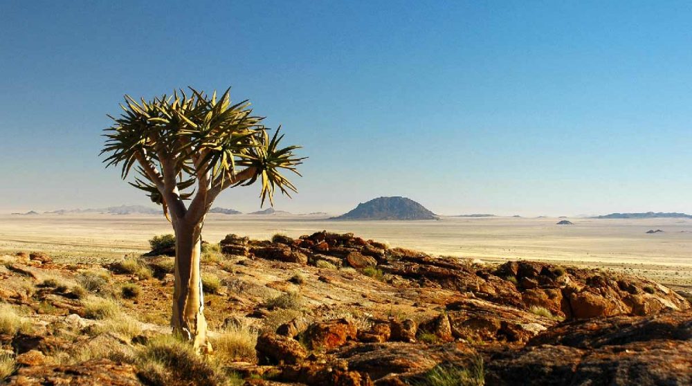 Vue sur le canyon en Namibie
