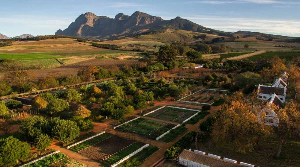 Le potager vu du ciel à Cape Town