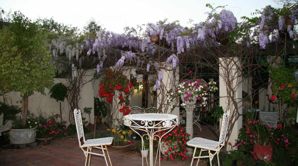 La terrrasse dans la Namaqualand