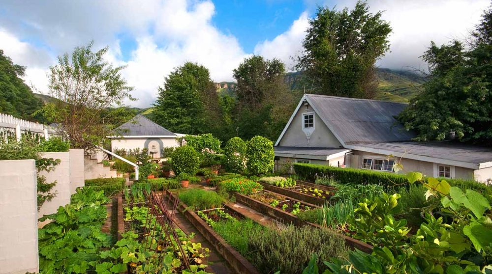 L'été dans le potager dans le Drakensberg