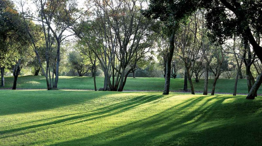 Le grand jardin de l'hôtel à Johannesburg