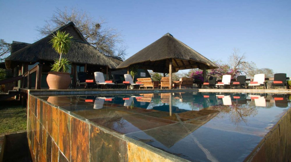 La piscine à Sabi Sand