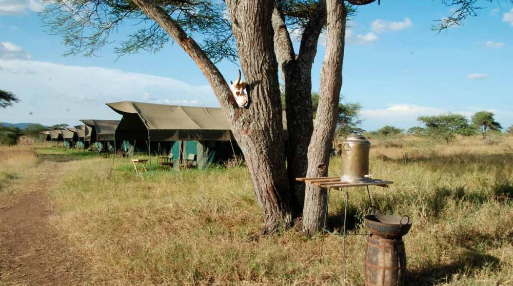 La nature autour des tentes en Tanzanie
