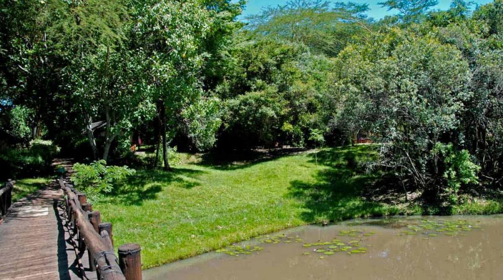 La rivière vue depuis le pont