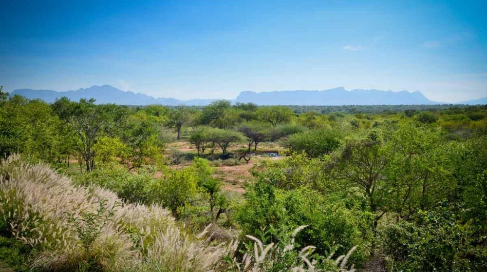 La vue sur les monts du Drakensberg en Afrique du Sud