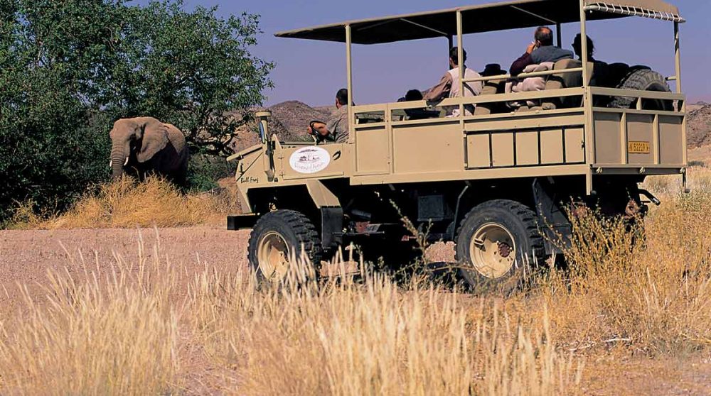 Observation d'un éléphant en safari