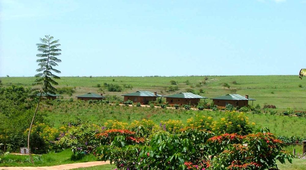 Les lodges dans la nature
