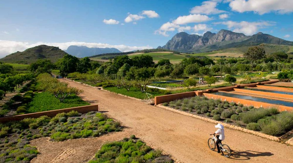 Le potager en Afrique du Sud