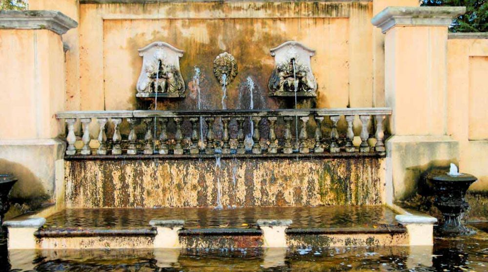 Un bassin dans le jardin