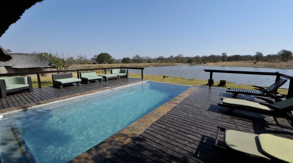 La piscine donnant sur la nature