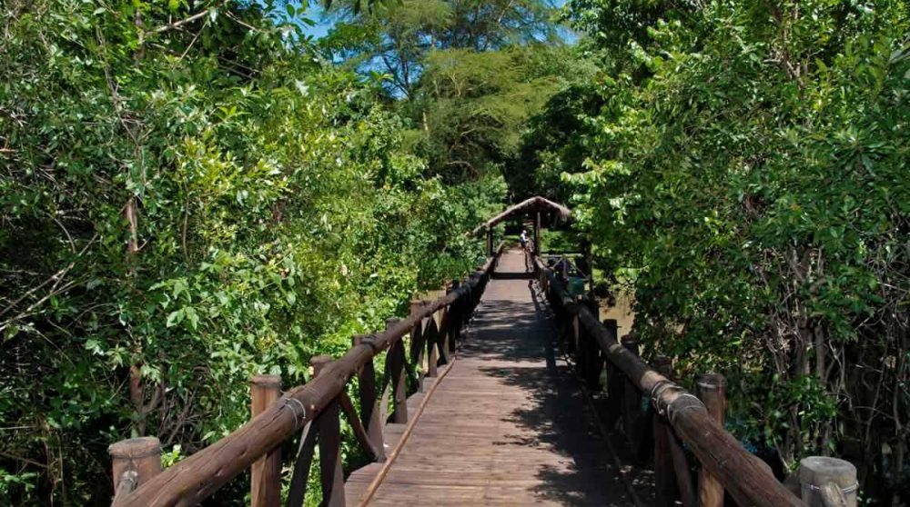 Le pont pour aller à l'hôtel