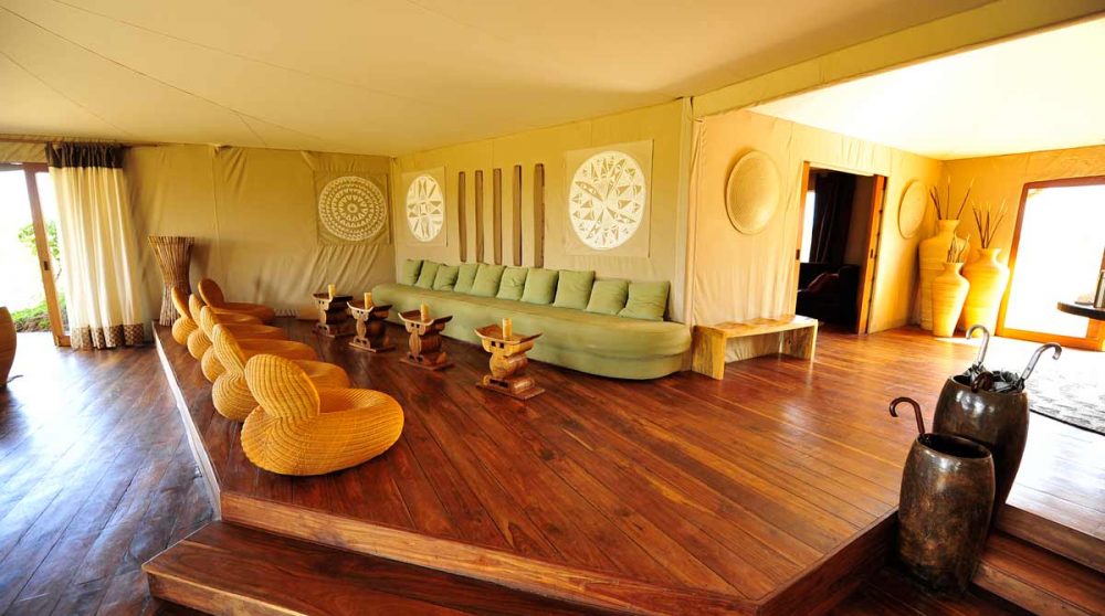 Le salon dans le parc du Serengeti