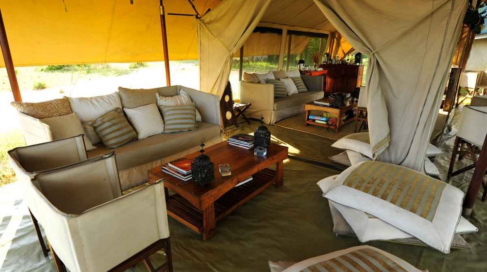 Autre vu du salon dans le parc du Serengeti